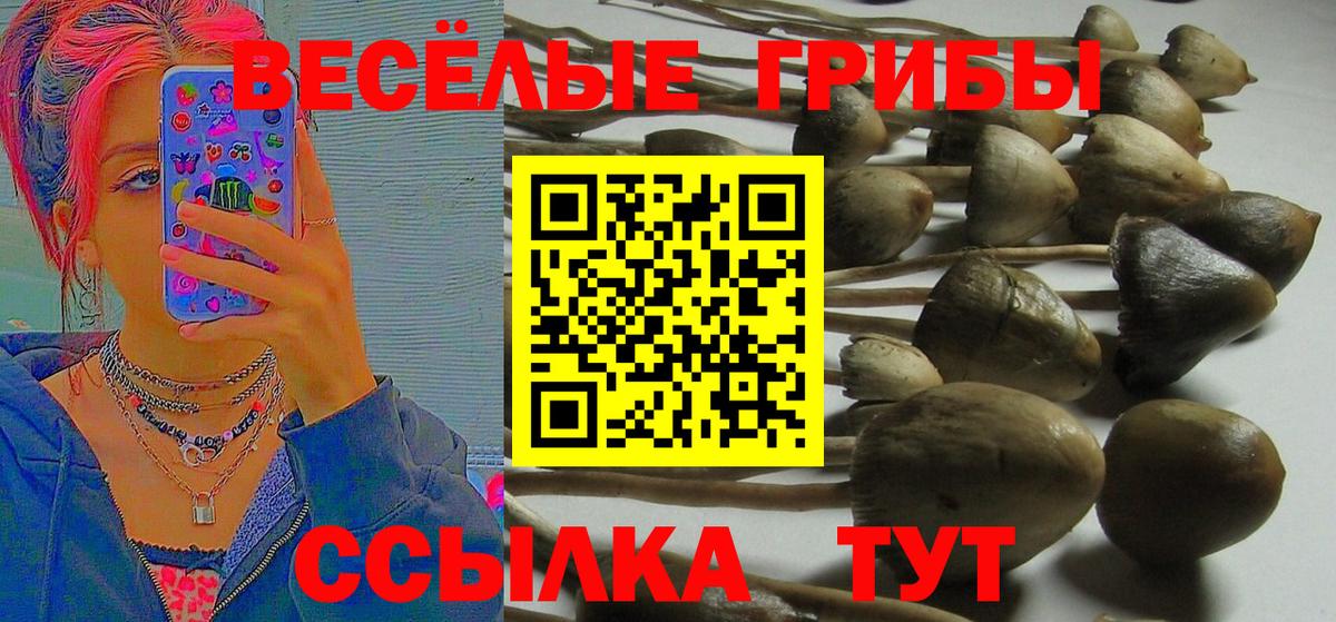 Псилоцибиновые грибы MAGIC MUSHROOMS  Галлюциногенные грибы мухоморы  Вход с VPN  Нижний Тагил 