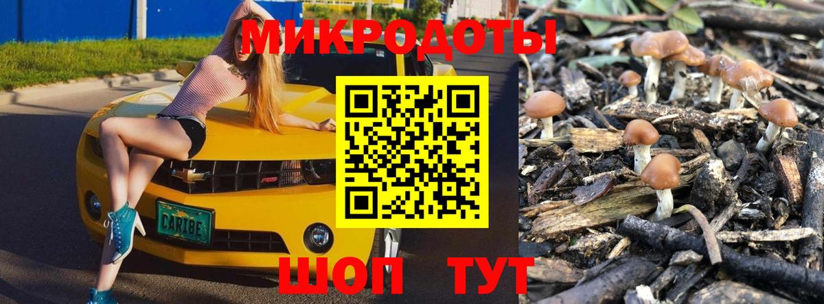 Псилоцибиновые грибы Psilocybine cubensis Нижний Тагил